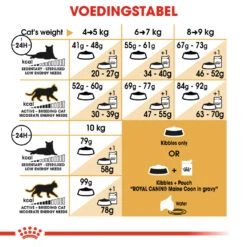 Royal Canin Maine Coon 4kg -Huisdierproducten 0374080cfca08fe20f539e96d88e2c71905e60c2a86c3e53d2e53651b190e5fc 2