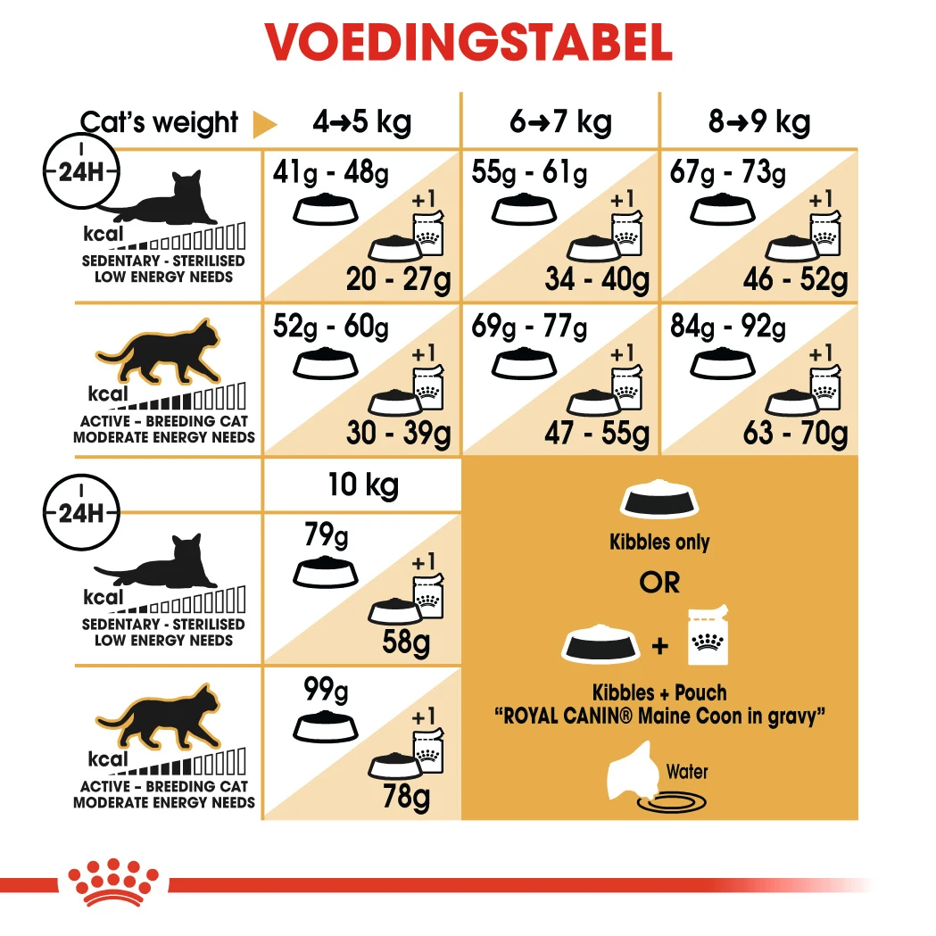 Royal Canin Maine Coon 31 - Kattenvoer - 10kg 2 Royal Canin Maine Coon 31 - Kattenvoer - 10kg - Afbeelding 2