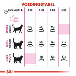 Royal Canin Protein Exigent Kat 10kg 5 Royal Canin Protein Exigent Kat 10kg -Huisdierproducten 0940f9380e24fd6977e0166039f34726c27c9abe12319f295b4029f84f5c8e3e 1