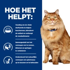 Hill's Hill’s Prescription Diet K/D + Mobility – Kattenvoer Met Kip – 12x85g 10 Hill's Hill’s Prescription Diet K/D + Mobility – Kattenvoer Met Kip – 12x85g -Huisdierproducten 52742011561 3 NL