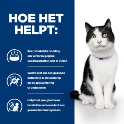 Hill's Hill’s Prescription Diet I/D – Kattenvoer Met Kip – Maaltijdzakjes 12x85g 10 Hill's Hill’s Prescription Diet I/D – Kattenvoer Met Kip – Maaltijdzakjes 12x85g -Huisdierproducten 52742040745 3 NL