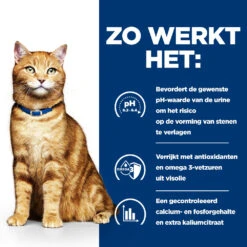 Hill's Prescription Diet C/d Multicare Urinary Care Kattenvoer Met Kip 12kg 9 Hill's Prescription Diet C/d Multicare Urinary Care Kattenvoer Met Kip 12kg -Huisdierproducten 52742042121 2 NL 1