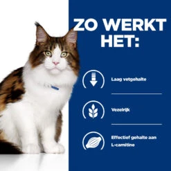 Hill's Prescription Diet W/d Multi-benefit Kattenvoer Met Kip 3kg -Huisdierproducten 52742042251 2 NL