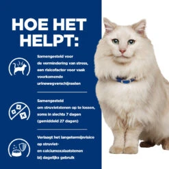 Hill's Hill’s Prescription Diet C/D – Kattenvoer Met Kip – Anti-Stress – 8kg 10 Hill's Hill’s Prescription Diet C/D – Kattenvoer Met Kip – Anti-Stress – 8kg -Huisdierproducten 52742043807 3 NL 1