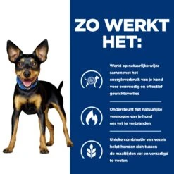 Hill's Prescription Diet Metabolic Kip- En Groentenstoofpotje Voor Hond 24x156g 9 Hill's Prescription Diet Metabolic Kip- En Groentenstoofpotje Voor Hond 24x156g -Huisdierproducten 52742047331 2 NL