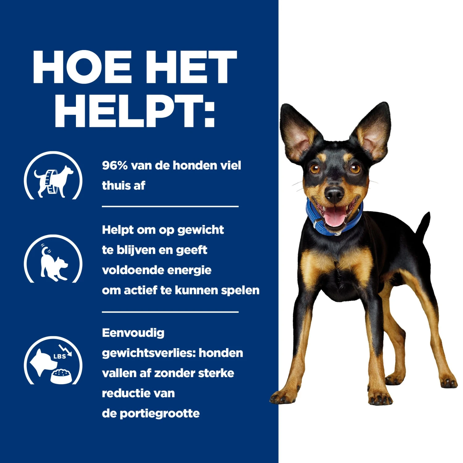 Hill's Prescription Diet Metabolic Kip- En Groentenstoofpotje Voor Hond 24x156g 4 Hill's Prescription Diet Metabolic Kip- En Groentenstoofpotje Voor Hond 24x156g - Afbeelding 4