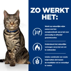 Hill's Hill’s Prescription Diet Metabolic Maaltijdzakjes – Kattenvoer Met Kip – 12x85g 9 Hill's Hill’s Prescription Diet Metabolic Maaltijdzakjes – Kattenvoer Met Kip – 12x85g -Huisdierproducten 52742343808 2 NL