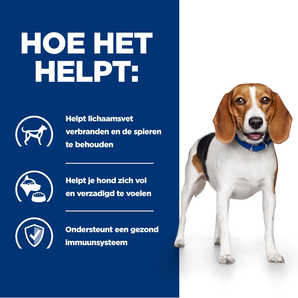 Hill's Hill’s Prescription Diet R/D – Hondenvoer – 12x350g 4 Hill's Hill’s Prescription Diet R/D – Hondenvoer – 12x350g - Afbeelding 4