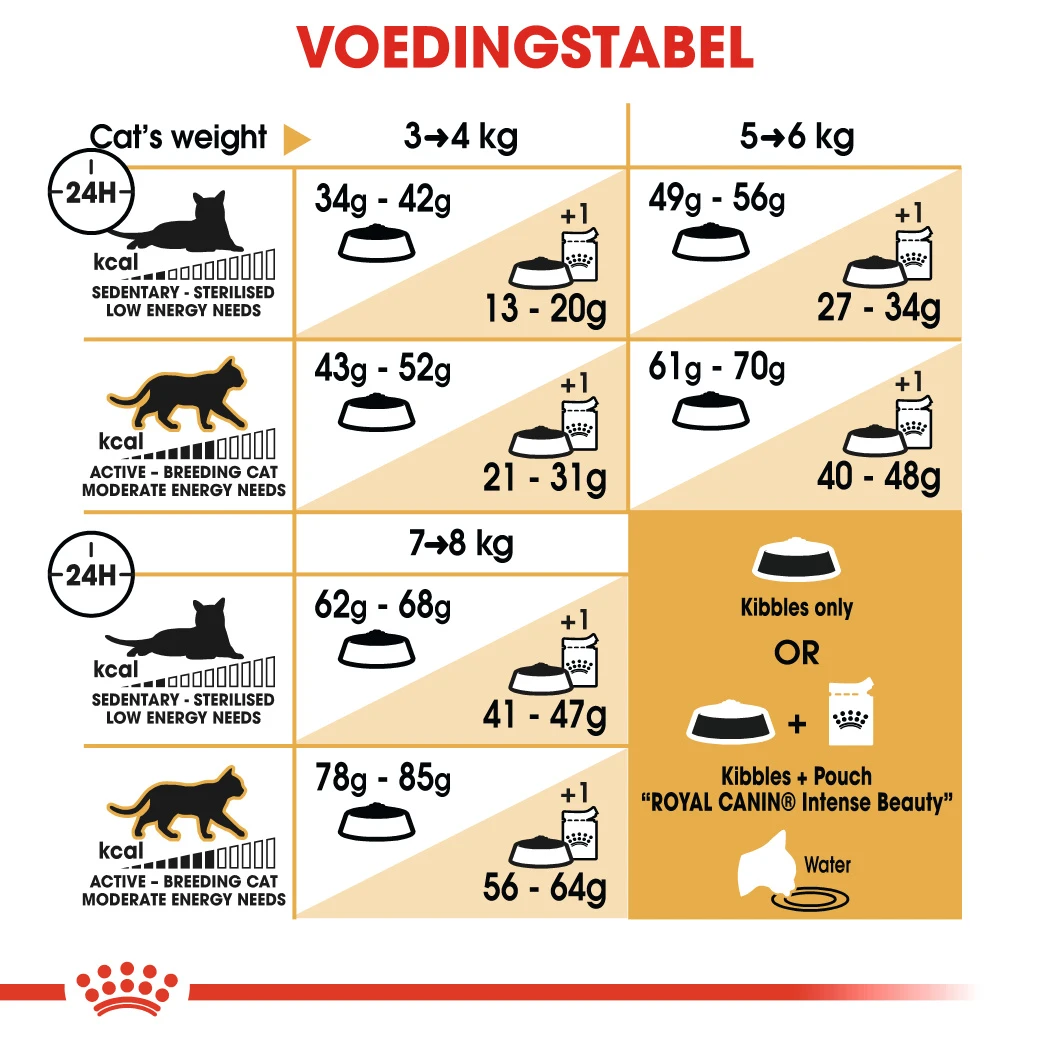 Royal Canin Ragdoll 2kg 3 Royal Canin Ragdoll 2kg - Afbeelding 3