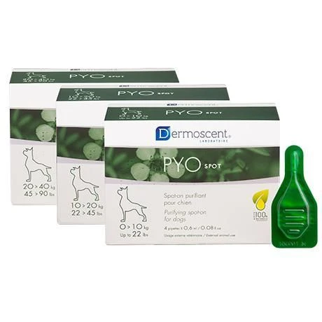 Dermoscent Pyospot Hond 0-10kg 4X0.6ml 1 Dermoscent Pyospot Hond 0-10kg 4X0.6ml