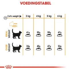 Royal Canin Hair & Skin Care Kattenvoer 2kg -Huisdierproducten 6cd71a60ba99f8570764bedbf54b2943681113398a4dc2074f443d0e11a6fff9 1