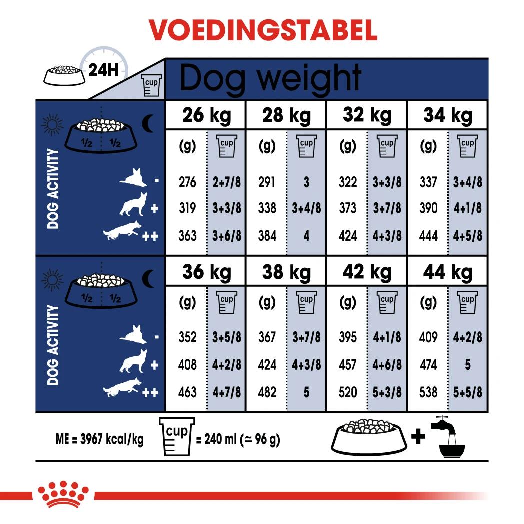 Royal Canin Maxi Adult - Hondenvoer - 10kg 3 Royal Canin Maxi Adult - Hondenvoer - 10kg - Afbeelding 3