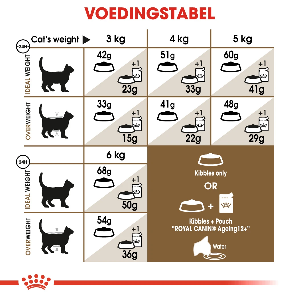 Royal Canin Ageing 12+ Kat 4kg 2 Royal Canin Ageing 12+ Kat 4kg - Afbeelding 2