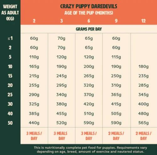 Gutsy Chicken Munchies Puppy 2kg 7 Gutsy Chicken Munchies Puppy 2kg - Afbeelding 7