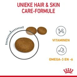 Royal Canin Hair & Skin Care Kattenvoer 2kg -Huisdierproducten Royal Canin Hair Skin Care Kat NL 05 1