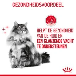 Royal Canin Hair & Skin Care Kattenvoer 2kg -Huisdierproducten Royal Canin Hair Skin Care Kat NL 07 1