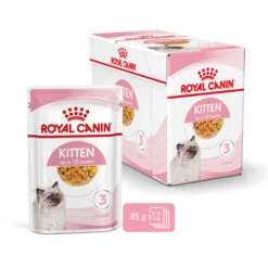Royal Canin Kitten In Jelly Kattenvoer 12x85g 12 Royal Canin Kitten In Jelly Kattenvoer 12x85g -Huisdierproducten Royal Canin Kitten Jelly NL 3