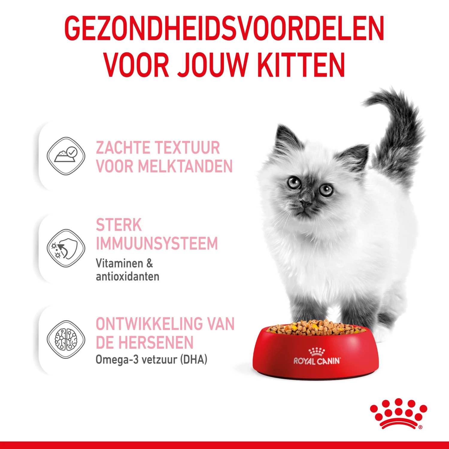 Royal Canin Kitten In Jelly Kattenvoer 12x85g 5 Royal Canin Kitten In Jelly Kattenvoer 12x85g - Afbeelding 5