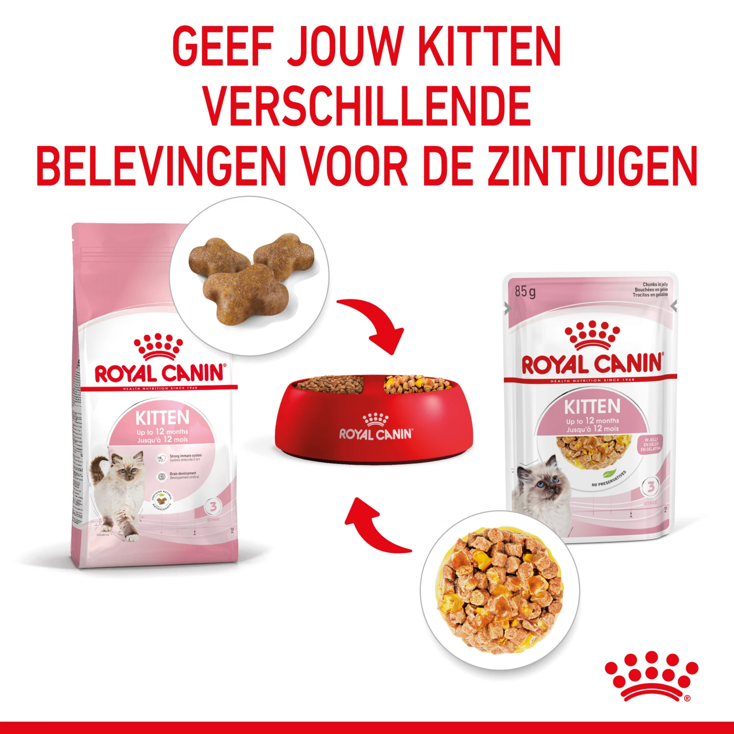 Royal Canin Kitten In Jelly Kattenvoer 12x85g 6 Royal Canin Kitten In Jelly Kattenvoer 12x85g - Afbeelding 6