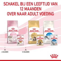 Royal Canin Kitten In Jelly Kattenvoer 12x85g 16 Royal Canin Kitten In Jelly Kattenvoer 12x85g -Huisdierproducten Royal Canin Kitten Jelly NL 8