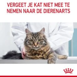 Royal Canin Urinary Care Kattenvoer 2kg 22 Royal Canin Urinary Care Kattenvoer 2kg -Huisdierproducten Royal Canin Urinary Care Kat NL 11