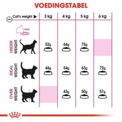 Royal Canin Aroma Exigent Kattenvoer 2kg -Huisdierproducten a2196c835232e23eecabd05c83f024d253a33c473edb092041e702285d61dfda 1