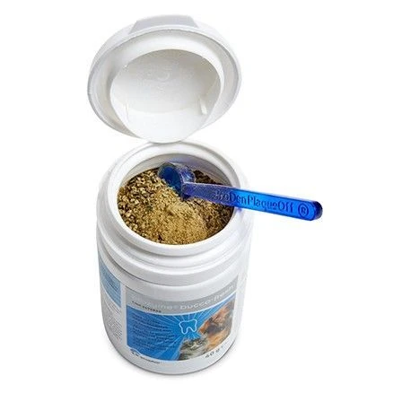 Orozyme Bucco Fresh Potje 40 G 1 Orozyme Bucco Fresh Potje 40 G