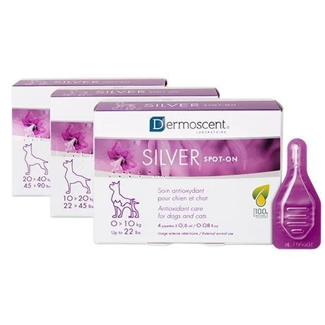 Dermoscent Silver Spot On Dog 10-20kg 4pip 1 Dermoscent Silver Spot On Dog 10-20kg 4pip