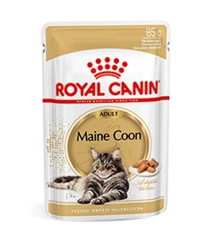 Royal Canin Maine Coon Adult Natvoer Kat 12x 85g