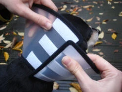 Flamingo Beschermkraag Capo 31,5cm -Huisdierproducten e2578f0de7dfac1a438fa05f0c616aa46fff5514395f242304922963edc56053