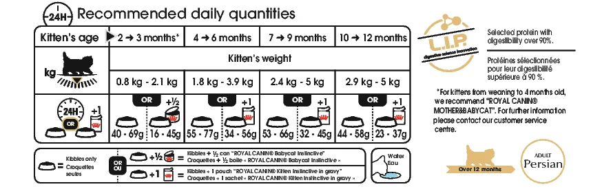Royal Canin Persian Kitten 4kg 2 Royal Canin Persian Kitten 4kg - Afbeelding 2