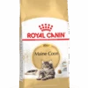 Royal Canin Maine Coon 31 - Kattenvoer - 10kg