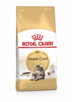 Royal Canin Maine Coon 31 - Kattenvoer - 10kg