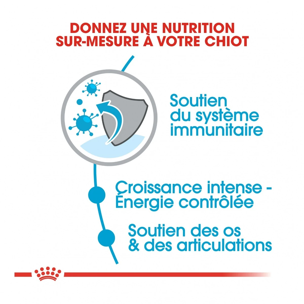 Royal Canin Giant Puppy - Hondenvoer - 15kg 4 Royal Canin Giant Puppy - Hondenvoer - 15kg - Afbeelding 4