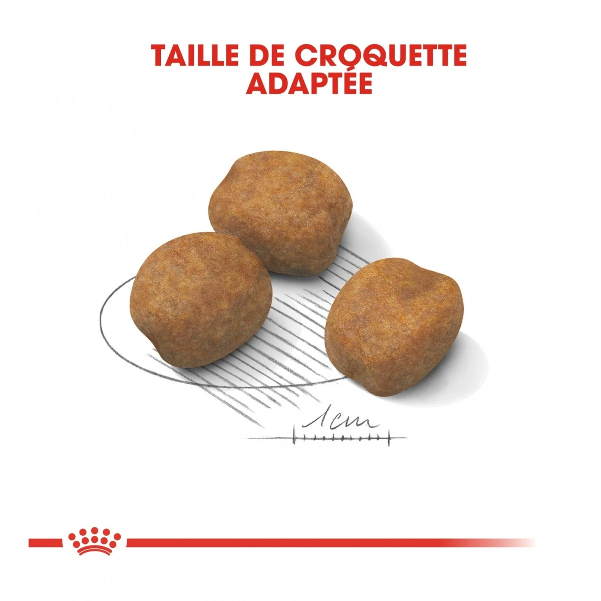 Royal Canin Giant Puppy - Hondenvoer - 15kg 5 Royal Canin Giant Puppy - Hondenvoer - 15kg - Afbeelding 5