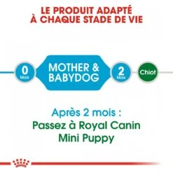 Royal Canin Mini Starter Mother & Babydog 8kg -Huisdierproducten royal canin mini starter mini starter 4