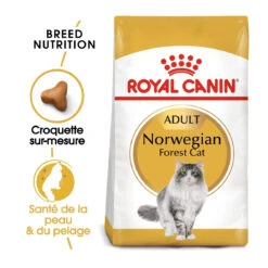 Royal Canin Norwegian Forest Cat Adult Kat 10kg -Huisdierproducten royal canin norvegien adult norvegien 1