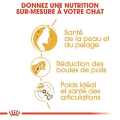 Royal Canin Norwegian Forest Cat Adult Kat 10kg -Huisdierproducten royal canin norvegien adult norvegien 2