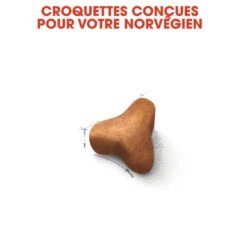 Royal Canin Norwegian Forest Cat Adult Kat 10kg -Huisdierproducten royal canin norvegien adult norvegien 3